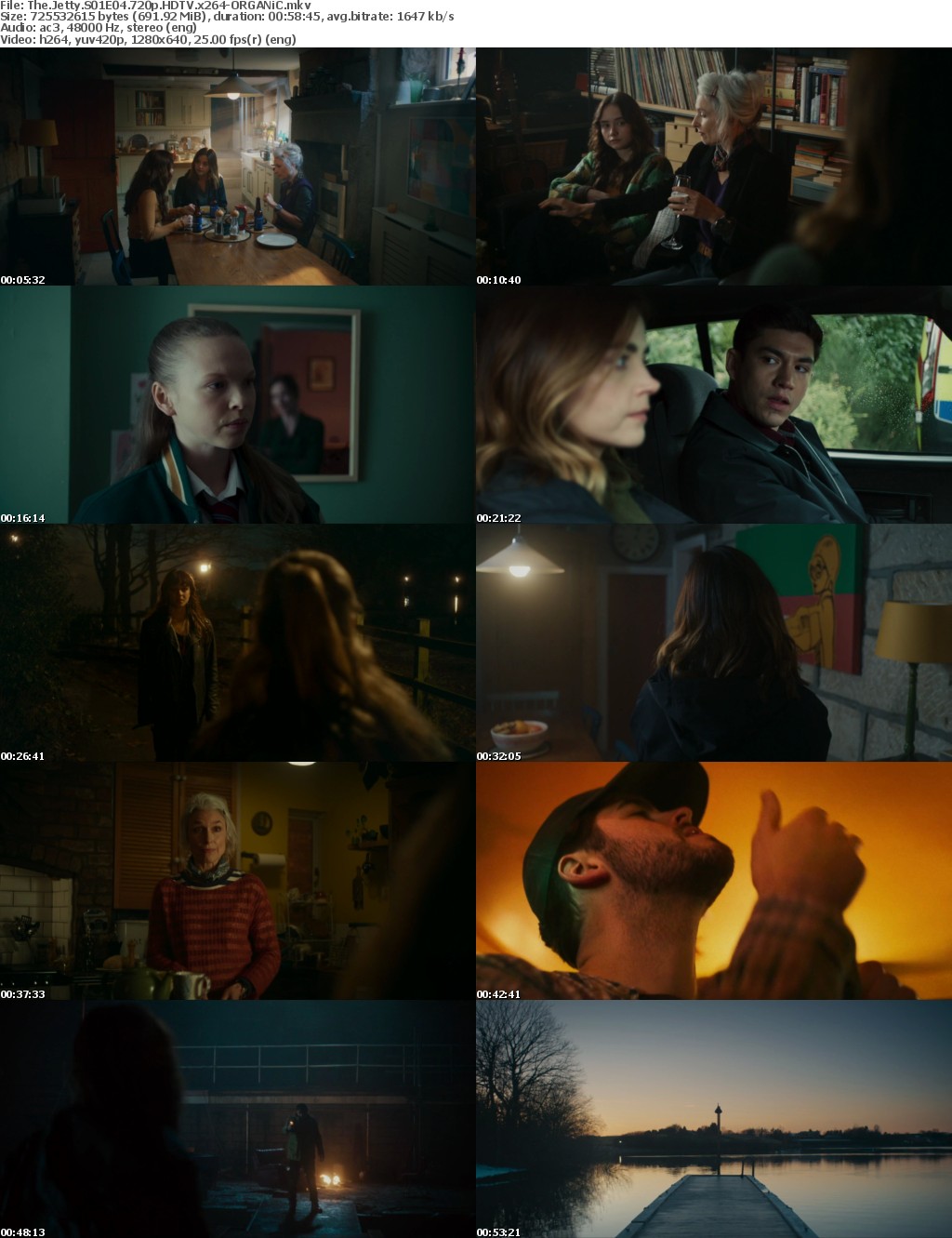 The Jetty S01E04 720p HDTV x264-ORGANiC
